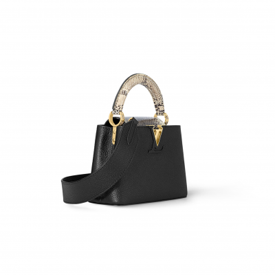 LOUIS VUITTON CAPUCINES MINI N96467