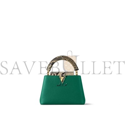 LOUIS VUITTON CAPUCINES N80931