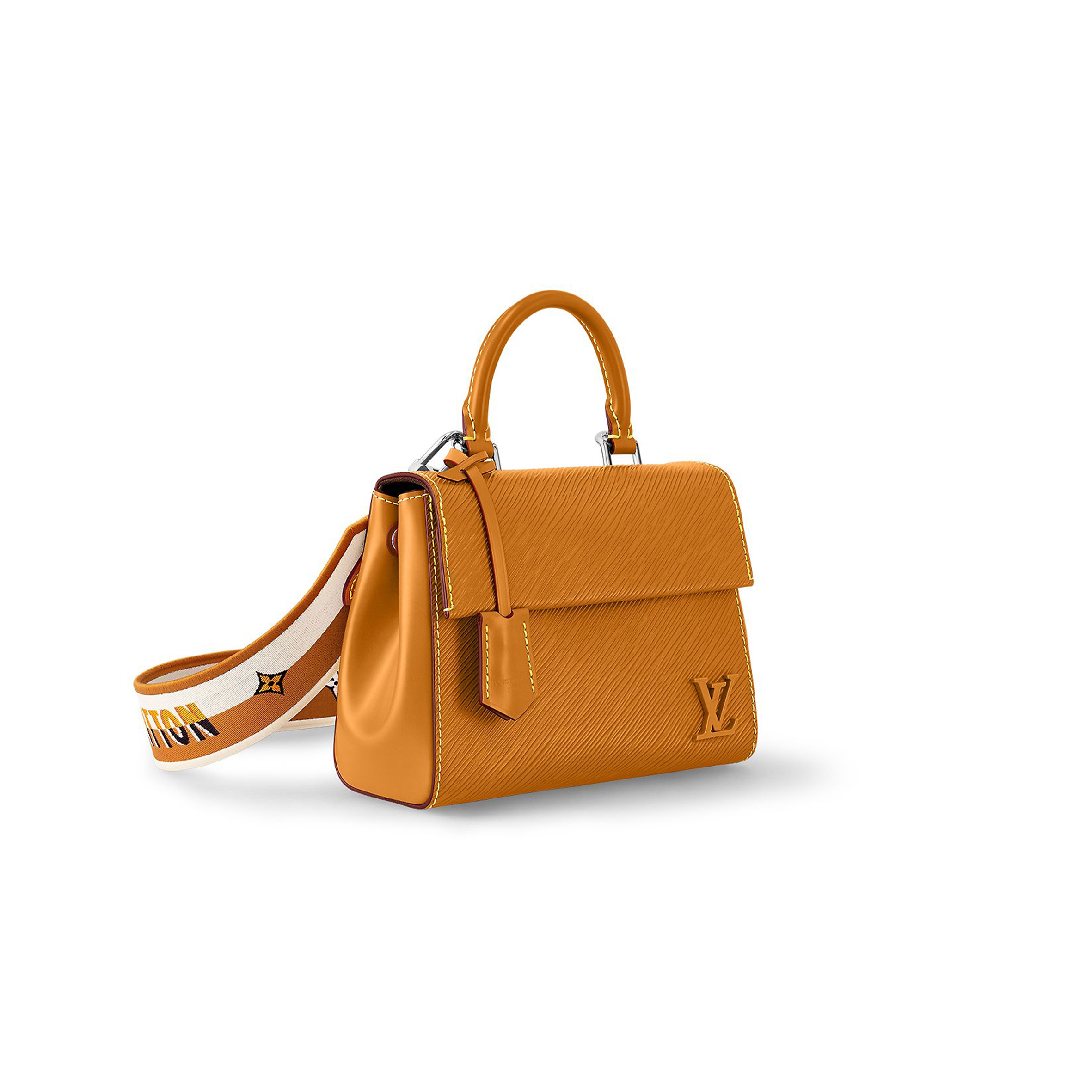 LOUIS VUITTON CLUNY MINI M58931 LOUIS VUITTON CLUNY MINI M58931