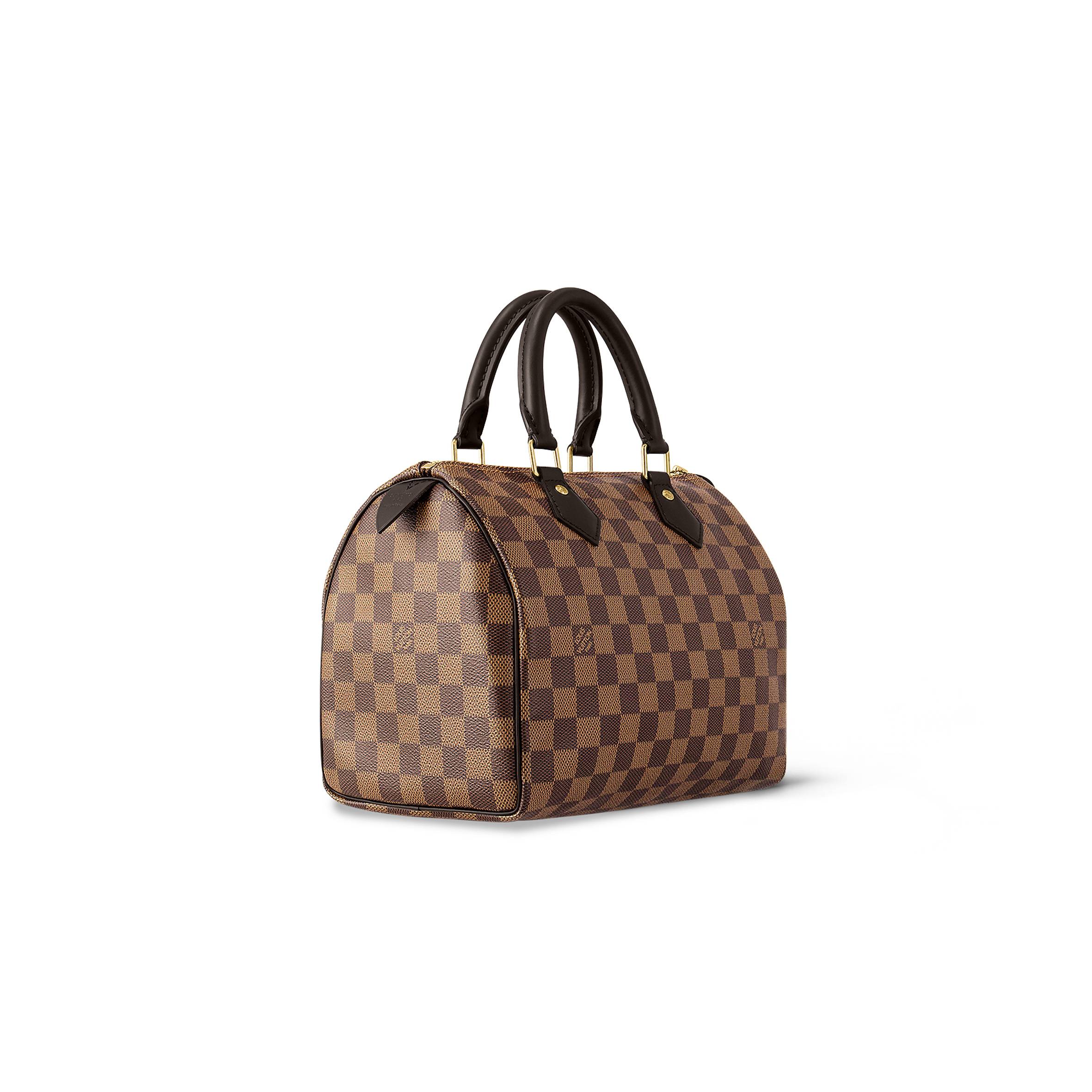 LOUIS VUITTON SPEEDY 25 N41365