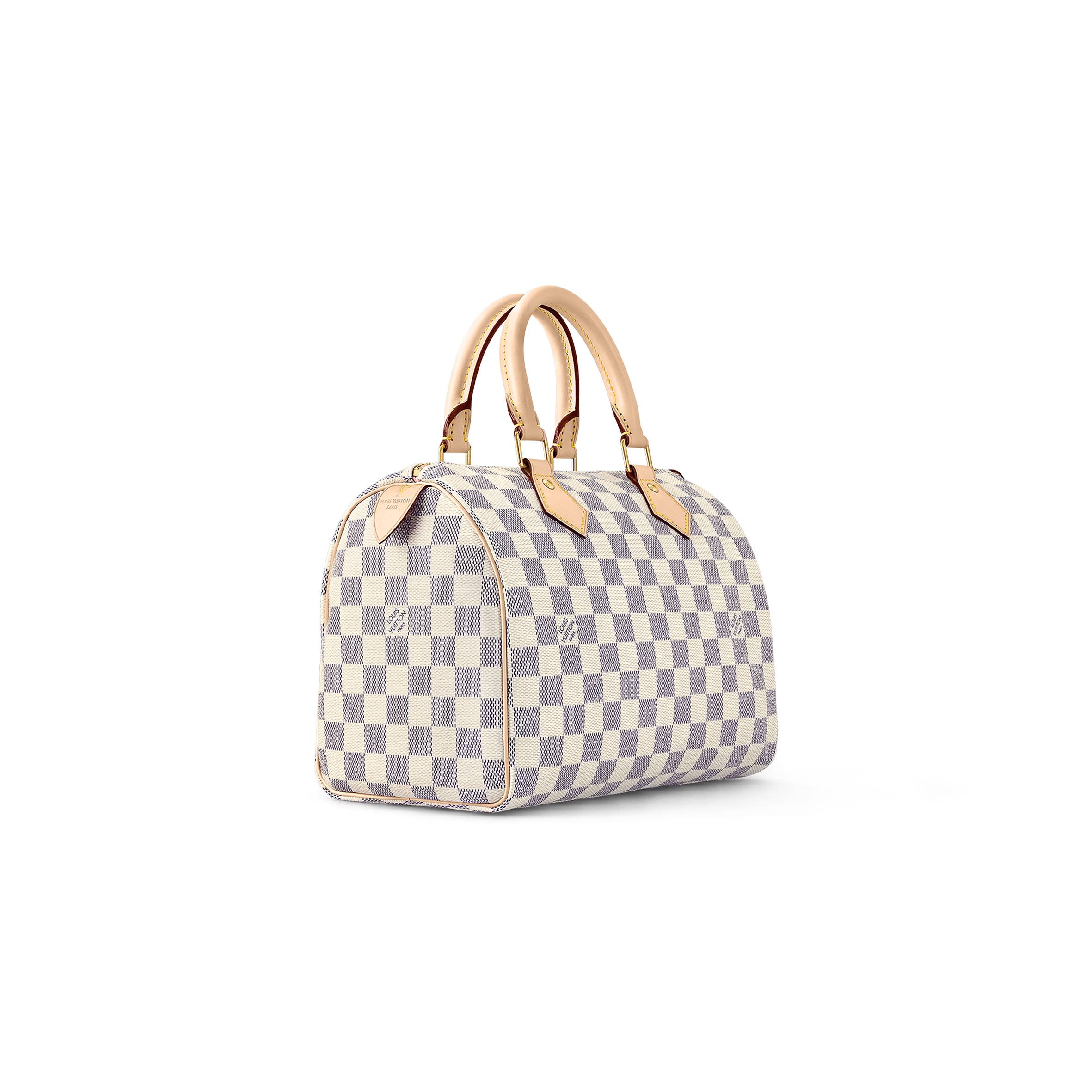 LOUIS VUITTON SPEEDY 25 N41371