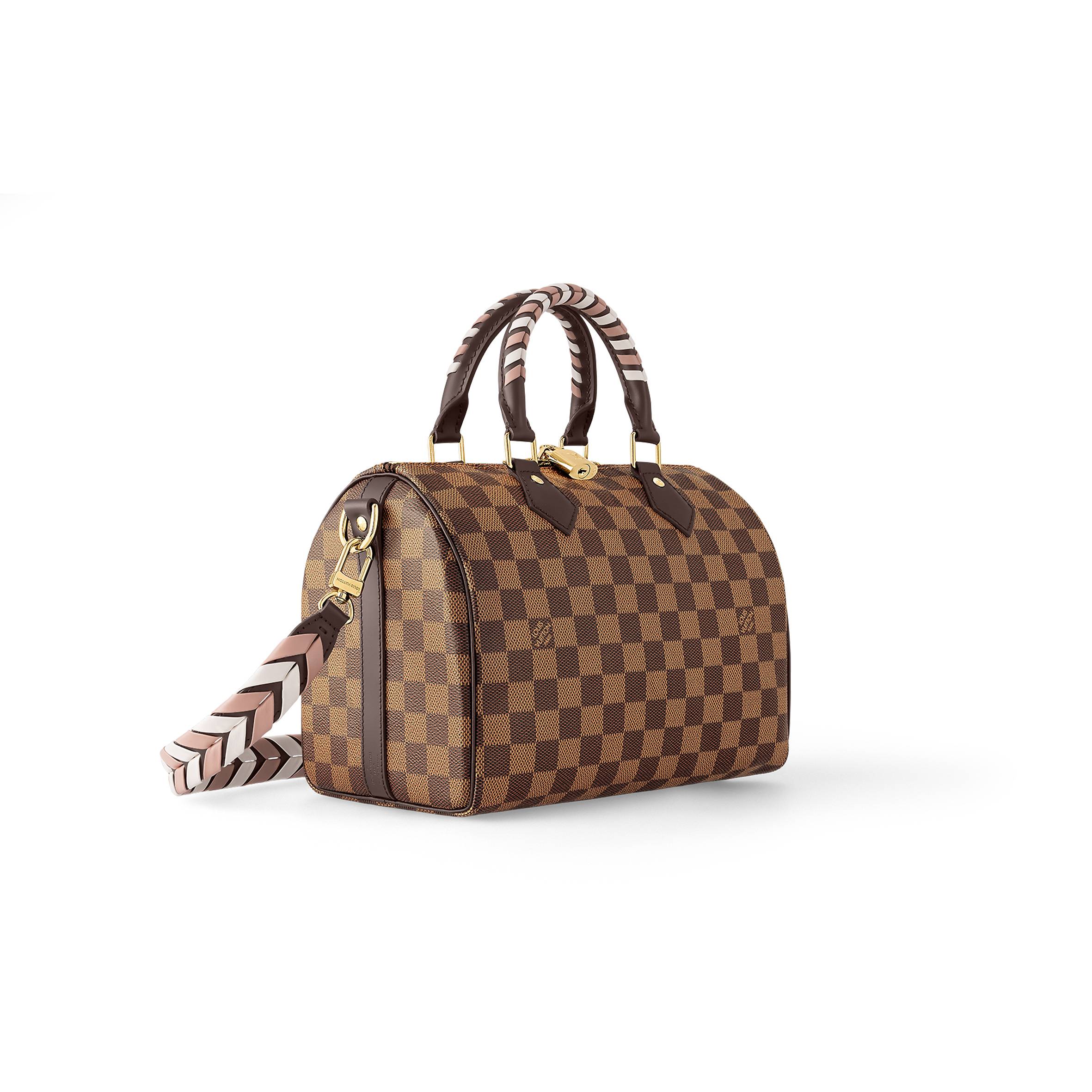 LOUIS VUITTON BRAIDED SPEEDY 25 N40450