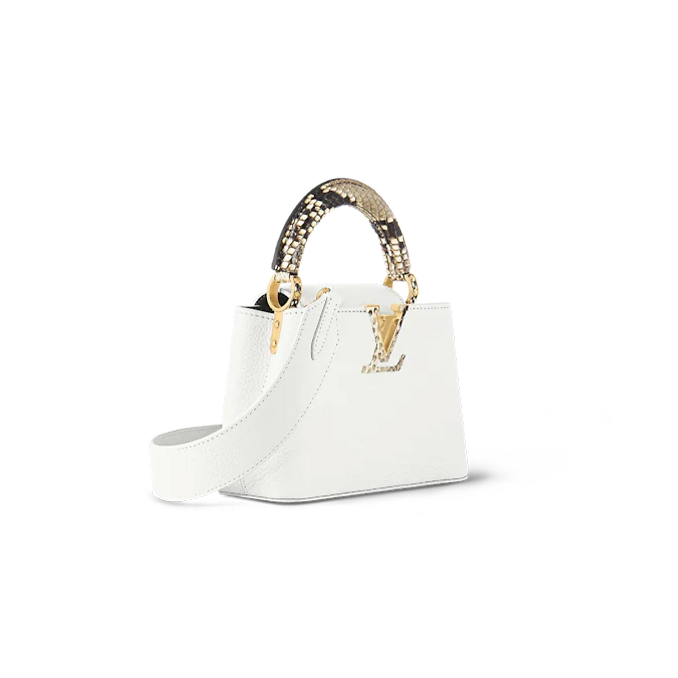 LOUIS VUITTON CAPUCINES N98477